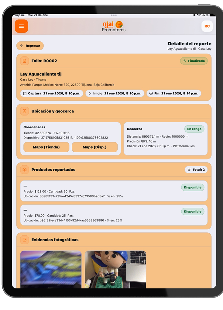 Panel y organización